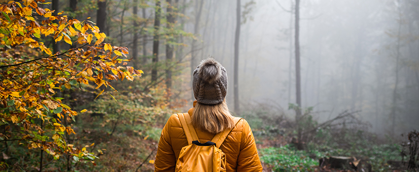 Randonnée dans une forêt avec du brouillard