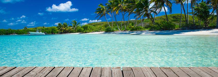 Une plage avec des palmiers