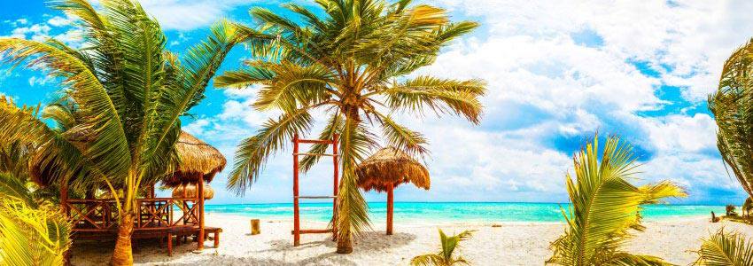 Une plage tropicale avec des palmiers