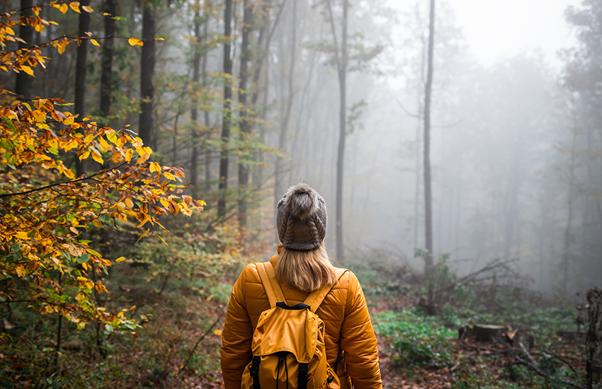 Randonnée dans une forêt avec du brouillard