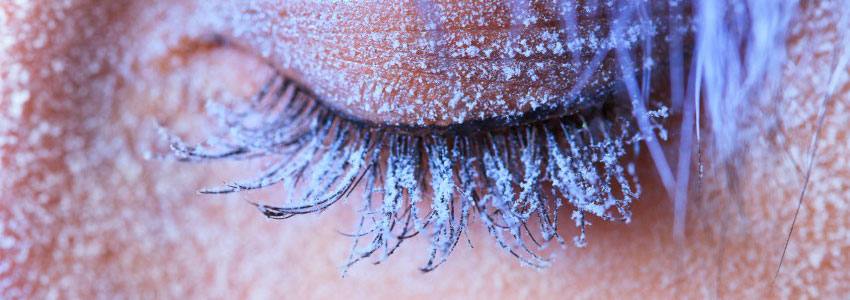 Vue proche d'un oeil gelé